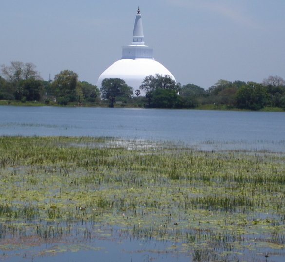 Ruvanvelisaya Dagoba across Basawakkulama